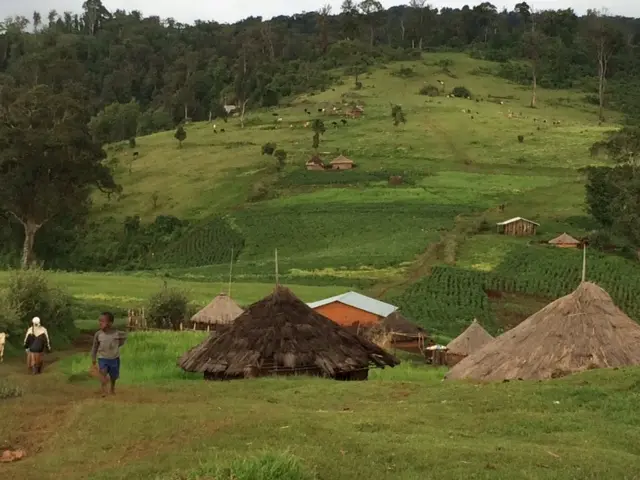 grass huts in a field with people and forest