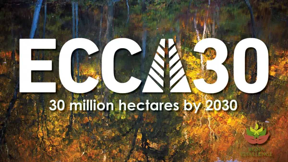 reflection of orange and yellow trees on water ECCA30 logo in white