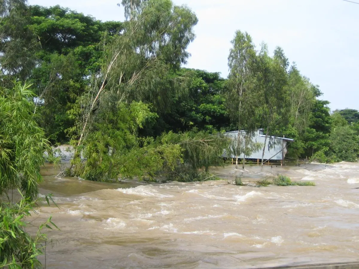 Flood in Dong Thap Province, Mekong Delta