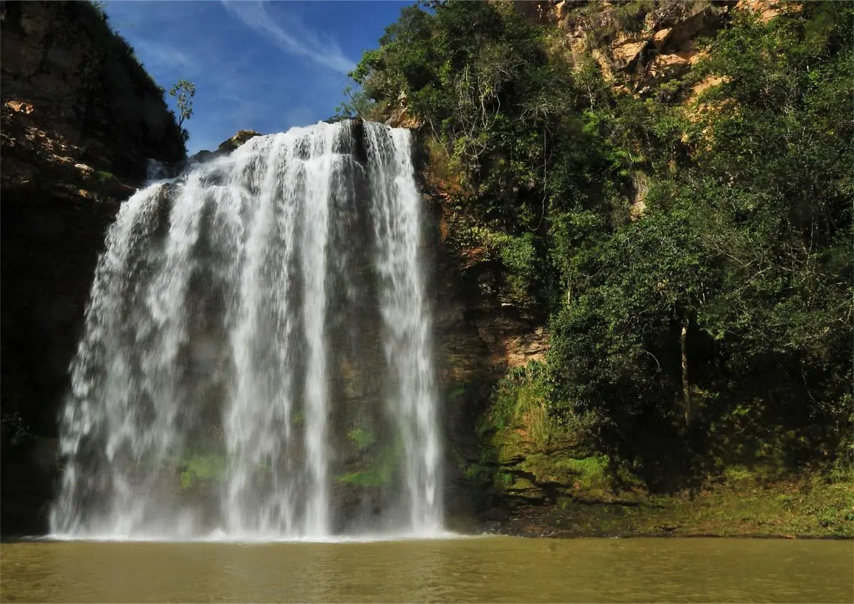 The Cerrado Water Consortium is protecting critical ecosystems.