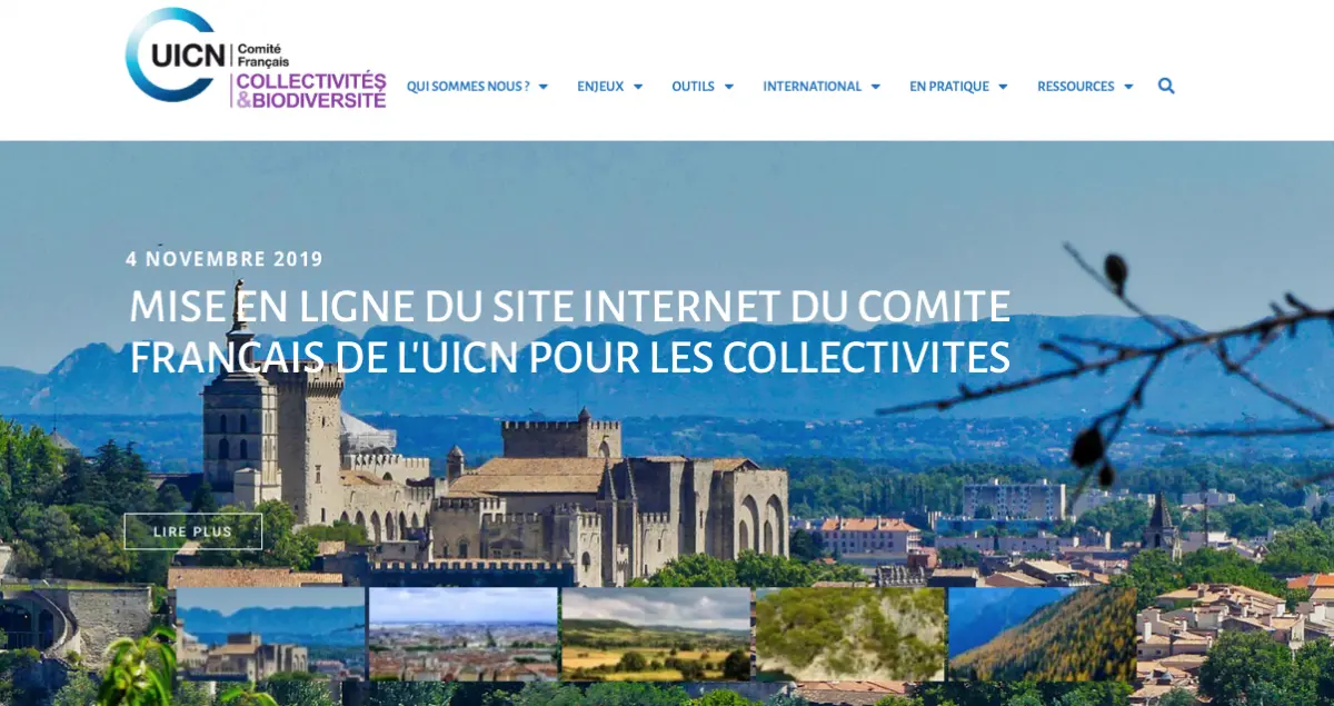 Launch of website of tools for regional governments