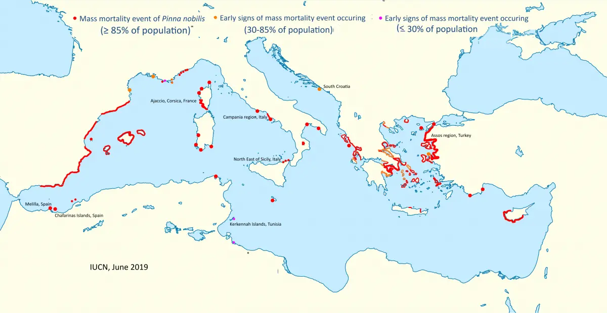 pinna_nobilis_outbreak_map_mediterranean-2