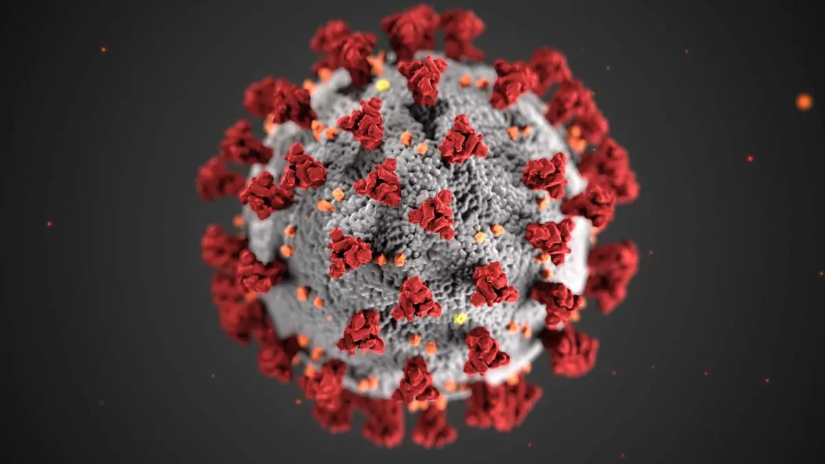 Coronavirus. Credit: CDC/ Alissa Eckert, MS; Dan Higgins, MAMS.