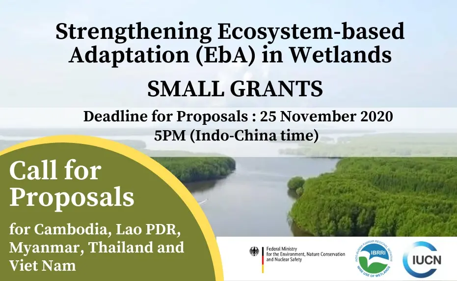 Call for Proposals Small Grants Strengthening Ecosystem-based Adaptation (EbA) in Wetlands 