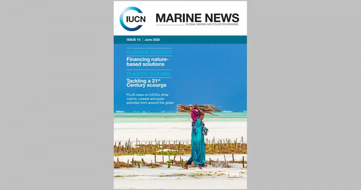 Marine News Issue 15
