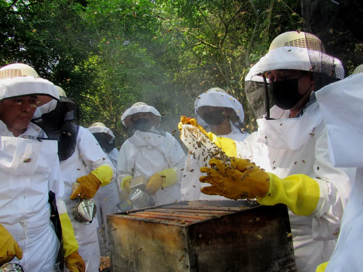 INSAFORP capacita a futuros apicultores en alianza con el proyecto regional de biodiversidad costera 