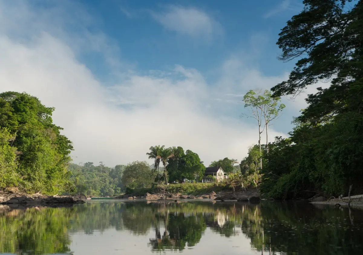 Foundation Amazon Conservation Team Surinam es una organización no gubernamental sin fines de lucro, fundada en 2002 y que se rige por la ley de Surinam.