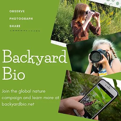 Backyard Bio Poster