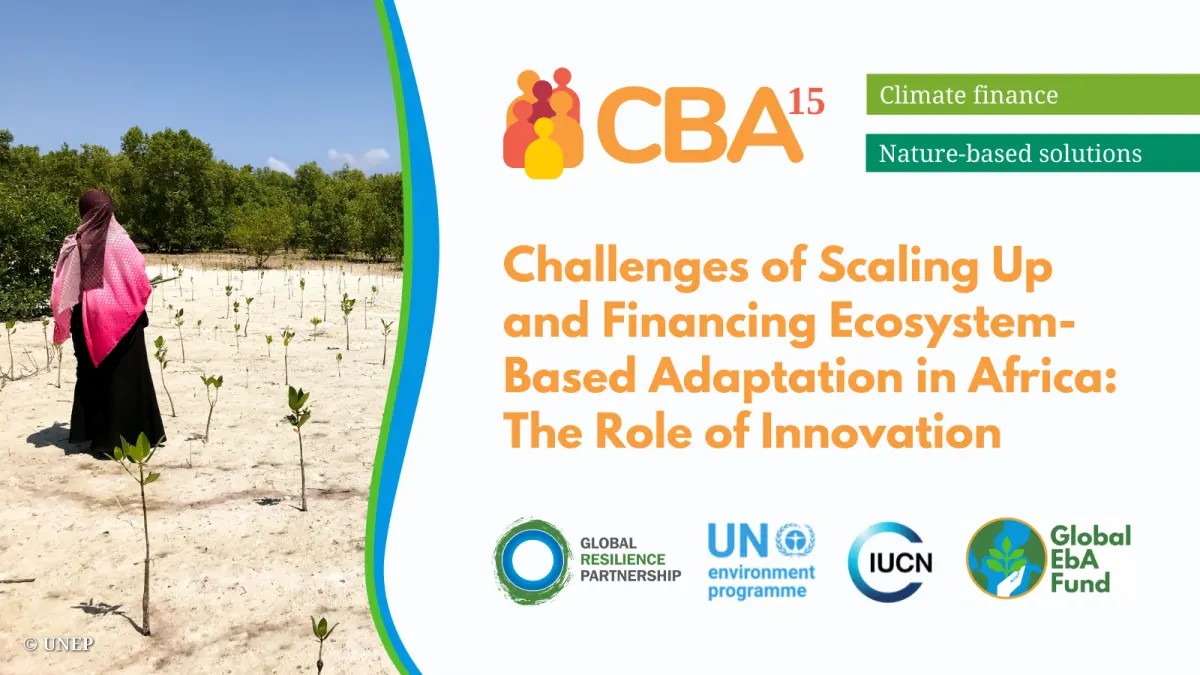 Challenges of Scaling Up and Financing EbA in Africa - The Role of Innovation