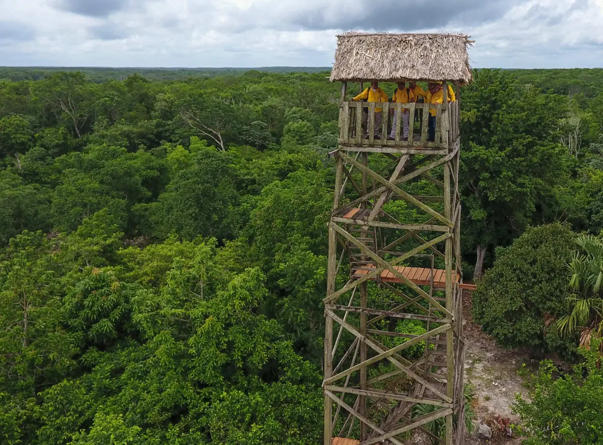 En la Selva Maya se impulsaron diversos procesos para la conservación y preservación del ecosistema, especialmente los relativos al fortalecimiento del manejo efectivo de las áreas naturales protegidas.