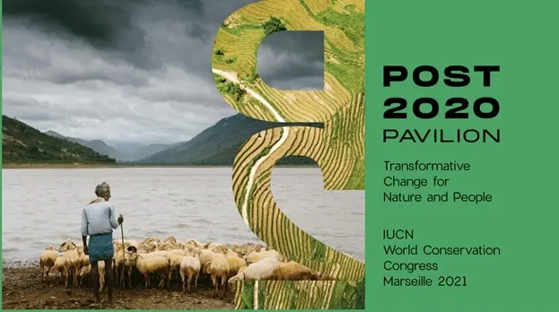 Post 2020 Pavilion, World Conservation Congress 2021