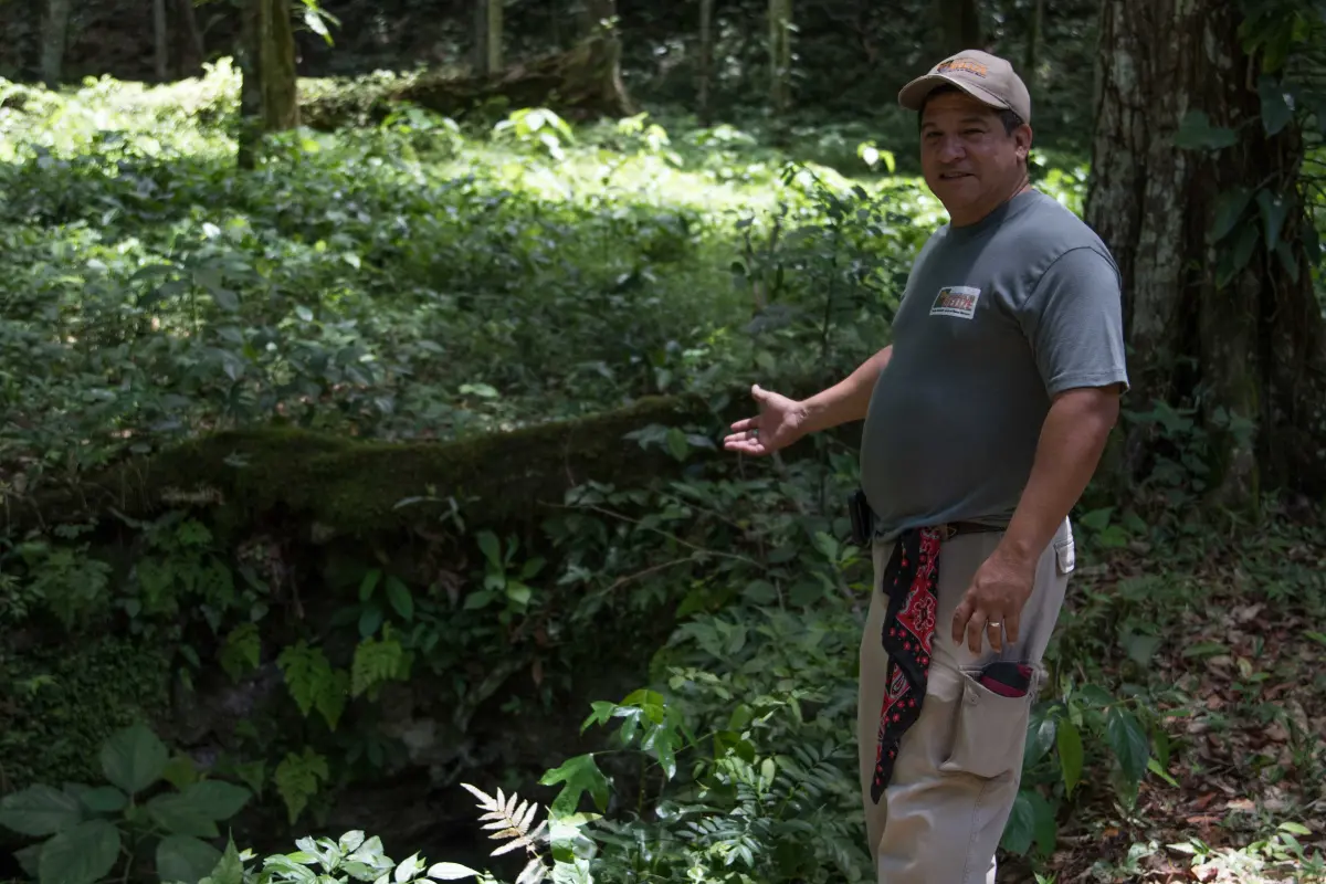 Río Bravo Conservation and Management Area is one of the protected areas in Belize that successfully worked on compliance with management plans adhering to IUCN Green List criteria.