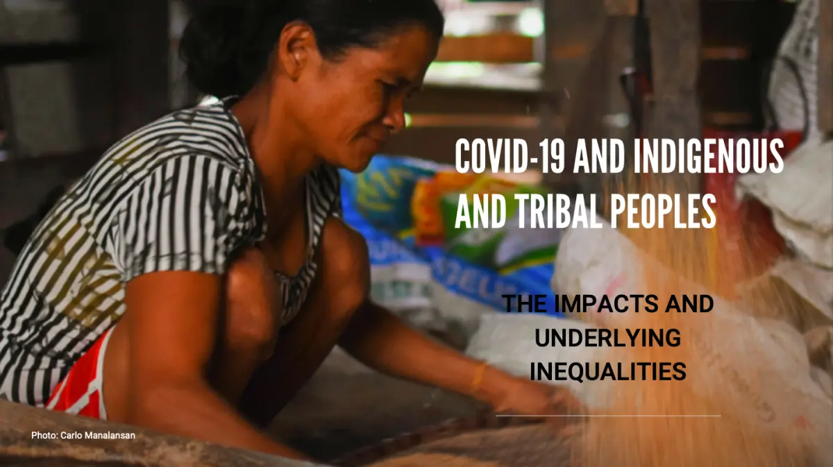 FPP report analyses impacts and underlying inequalities around COVID-19 for indigenous and tribal peoples. 