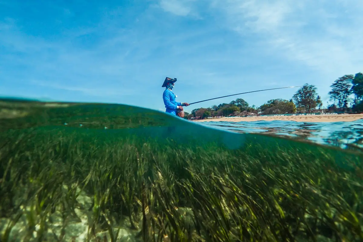Seagrass and fisherman