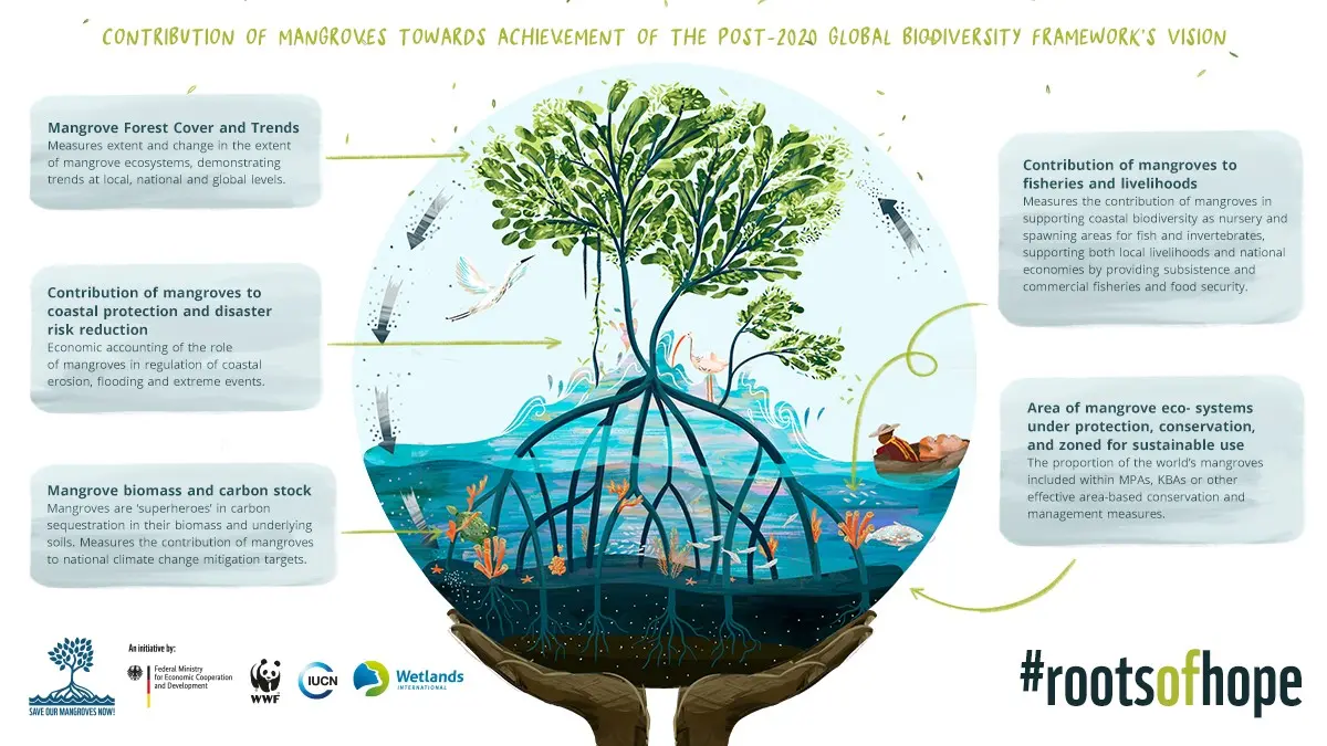 #RootsOfHope campaign by Save Our Mangroves Now