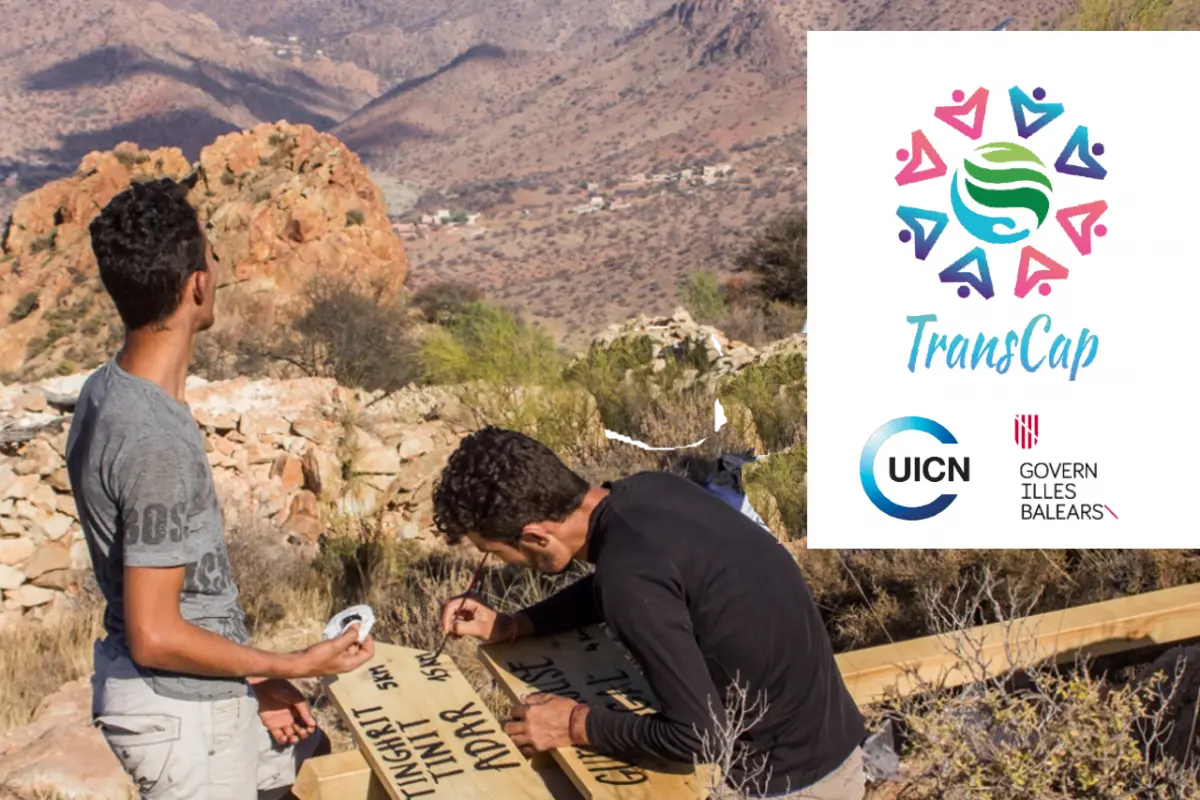 ssociation Adrar pour le Développement, le Tourisme de Montagne et l'Écotourisme