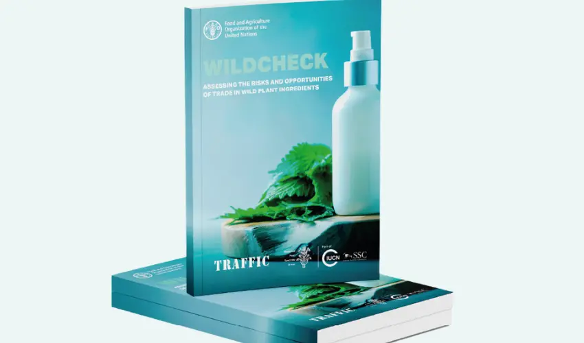 Wildcheck report cover 