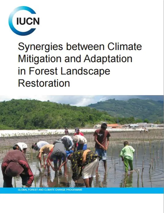 A new report on synergies between climate mitigation and adaptation in forest landscape restoration.