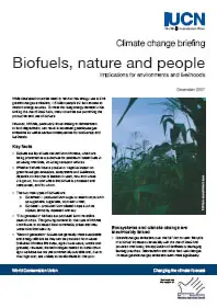 Biofuels, nature and people