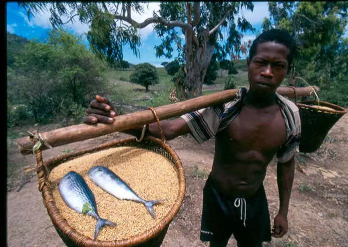 Boy with Rice and Fish in the Tsitongambarika forest
