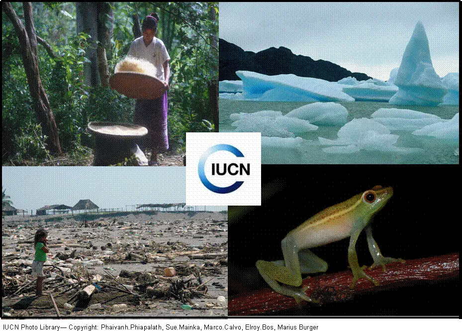 people, climate, species/ecosystems, disasters are all issues that IUCN addresses