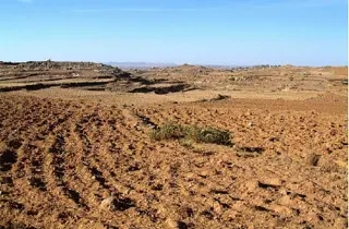Deforestation and land degradation in Tsorona, Eritrea