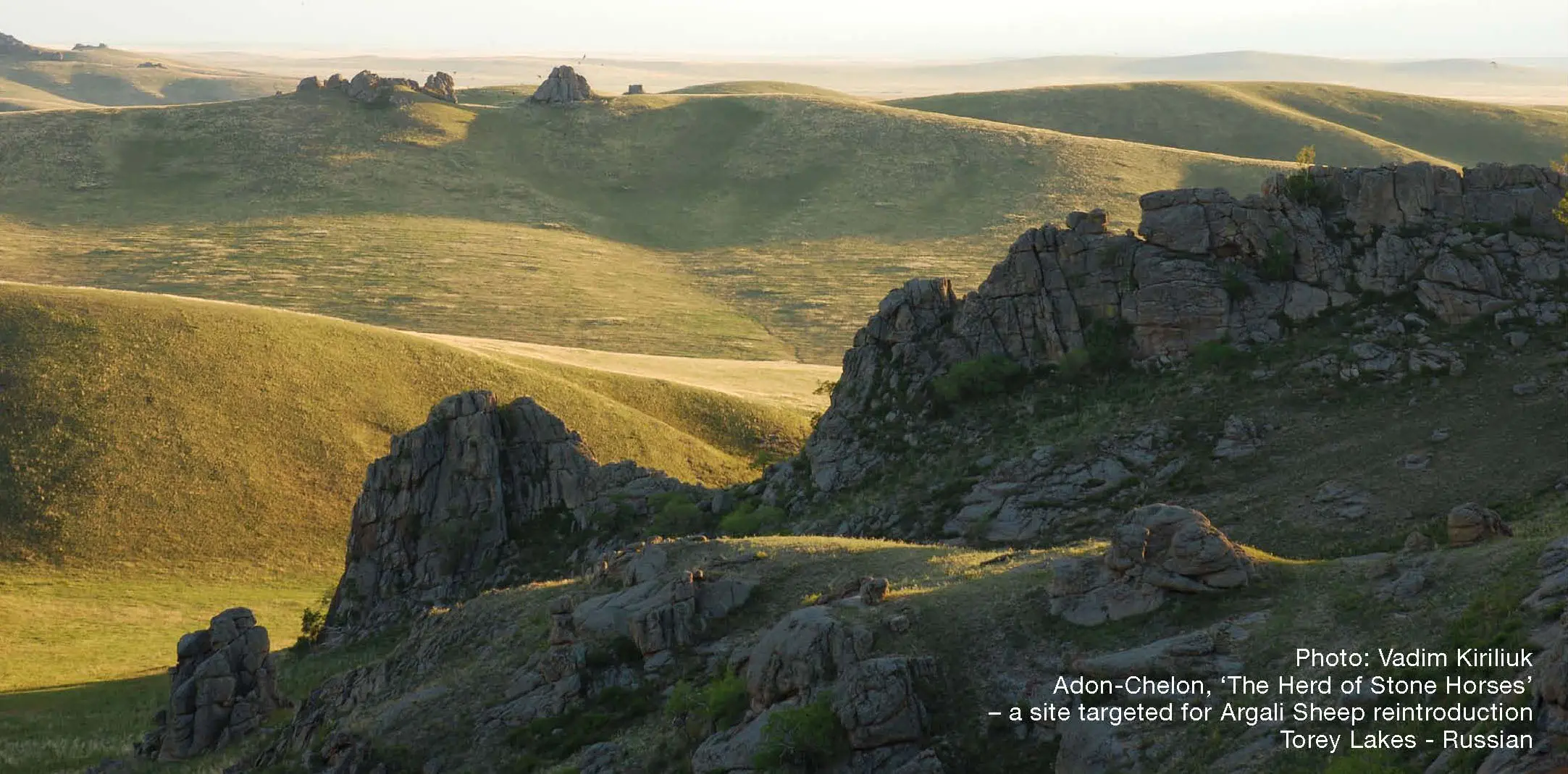 Adon-Chelon, "The herd of stone horses" a site targeted for Argali Sheep reintroduction Torey Lakes - Russian