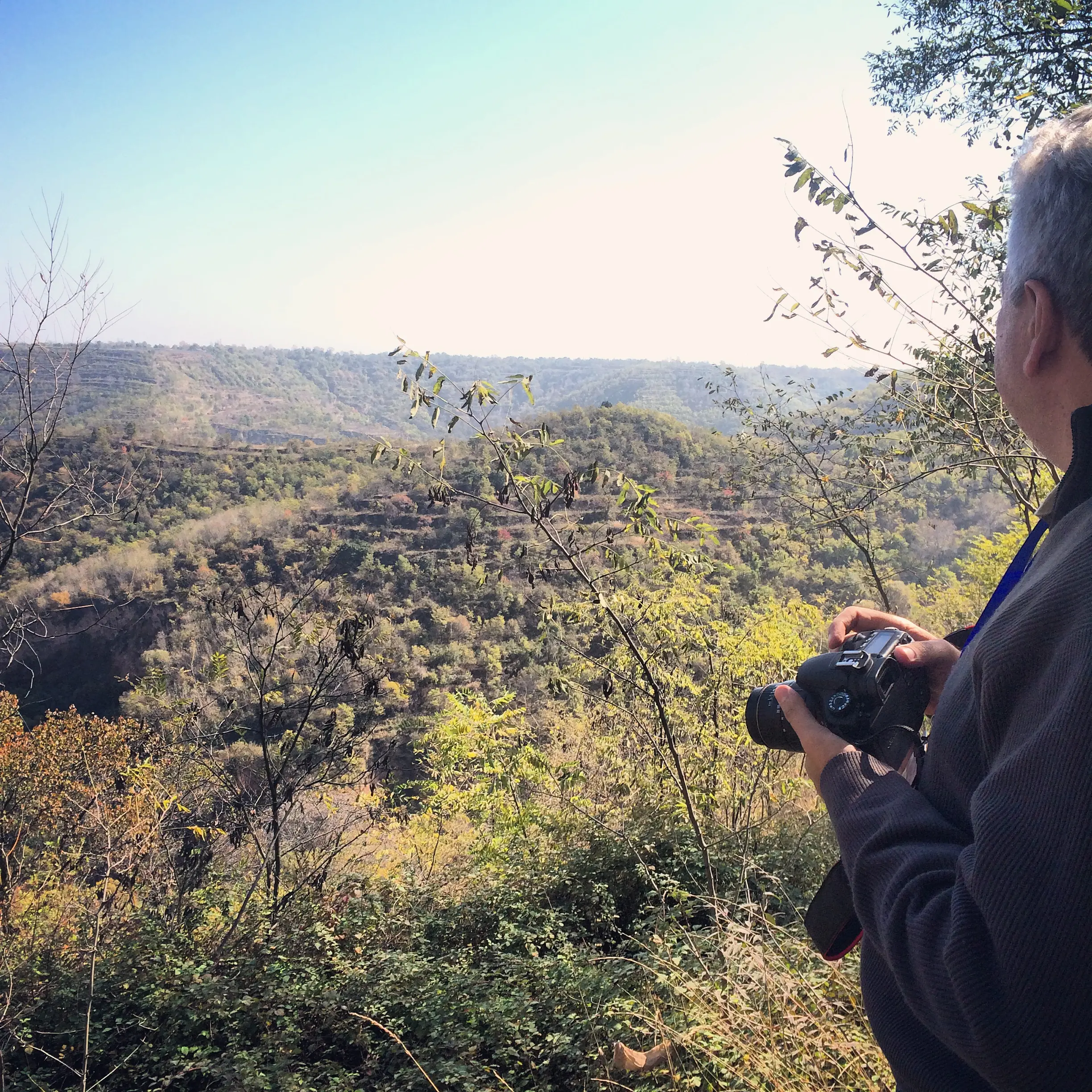 Viewing the restored forests of China's Loess Plateau
