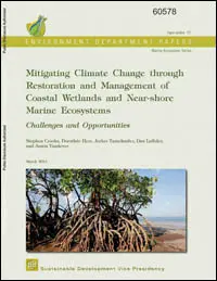 Mitigating Climate Change - Front cover