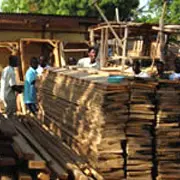 Small scale sawmill operation in Ghana.