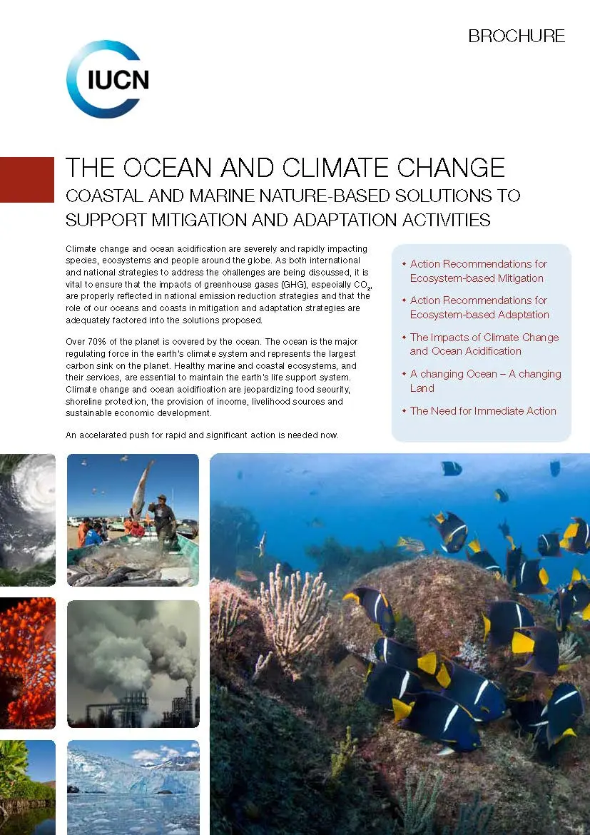 THE OCEAN AND CLIMATE CHANGE. Coastal and marine nature-based solutions to support mitigation and adaptation activities