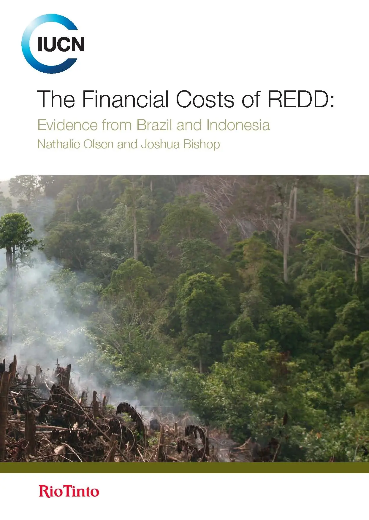 The Financial costs of REDD
