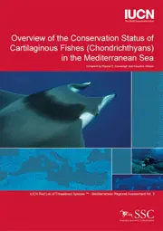 Overview of the Conservation Status of Cartilaginous Fishes (Chondrichthyans) in the Mediterranean Sea