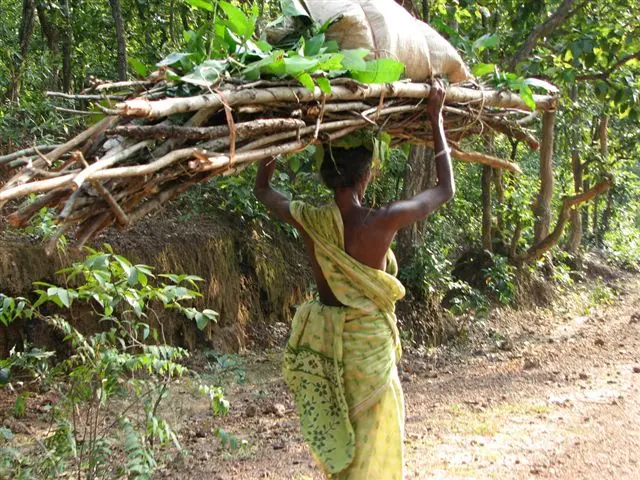 Woman carrying wood and leaves