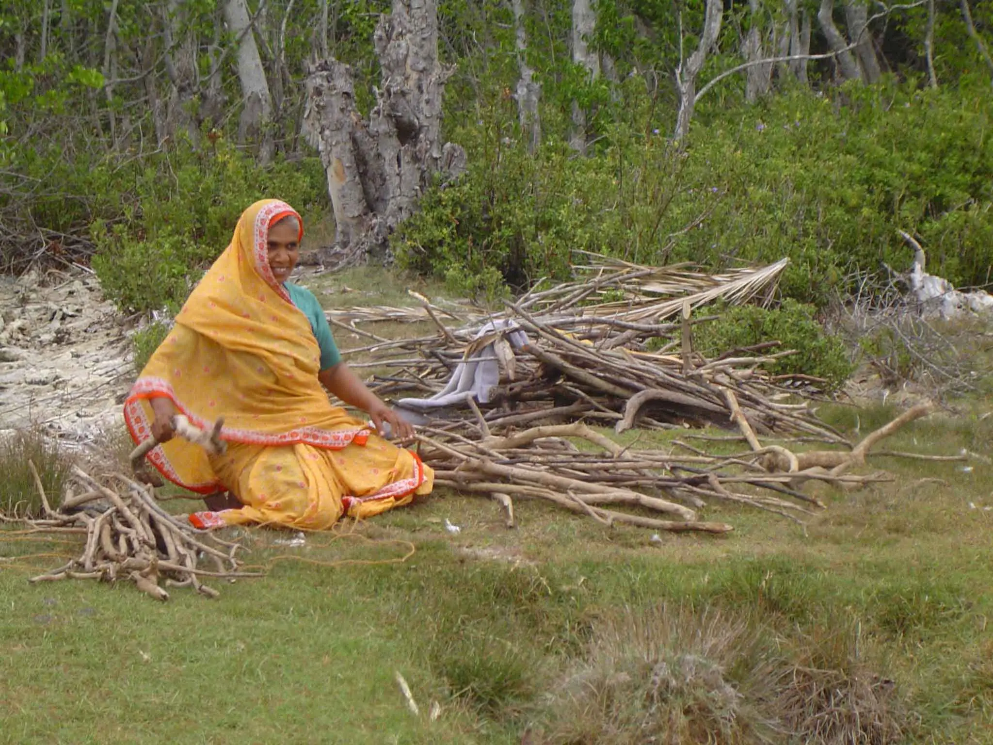 Woman collecting firewood, Puttalam, Sri Lanka