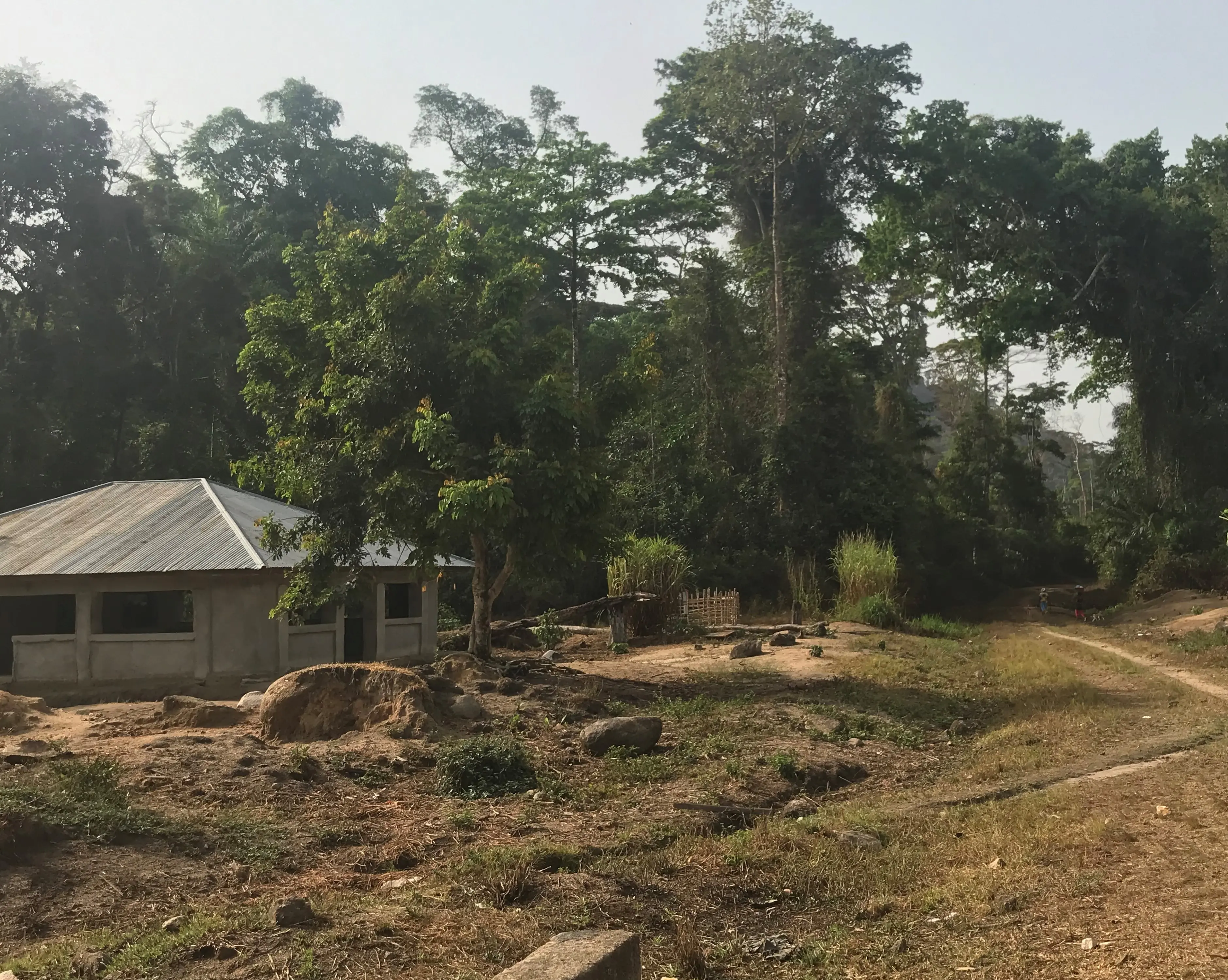 Liberia forest community Mahawa Komala 