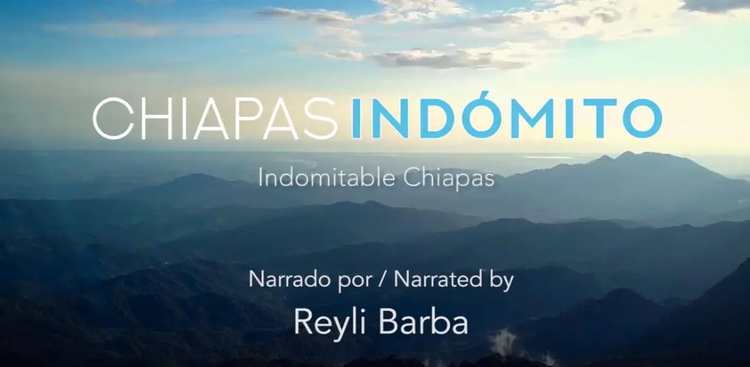 Chiapas Indómito