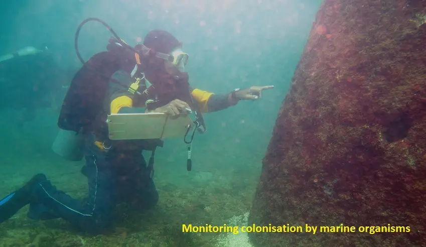 Monitoring colonisation by marine organisms 