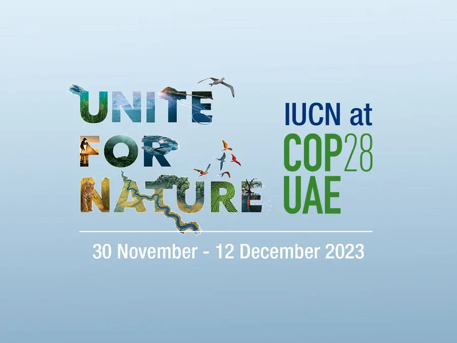 COP 28 - Everything you need to know - The Oxford Blue